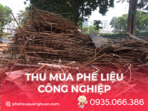 PHE LIEU QUANG TUAN 11