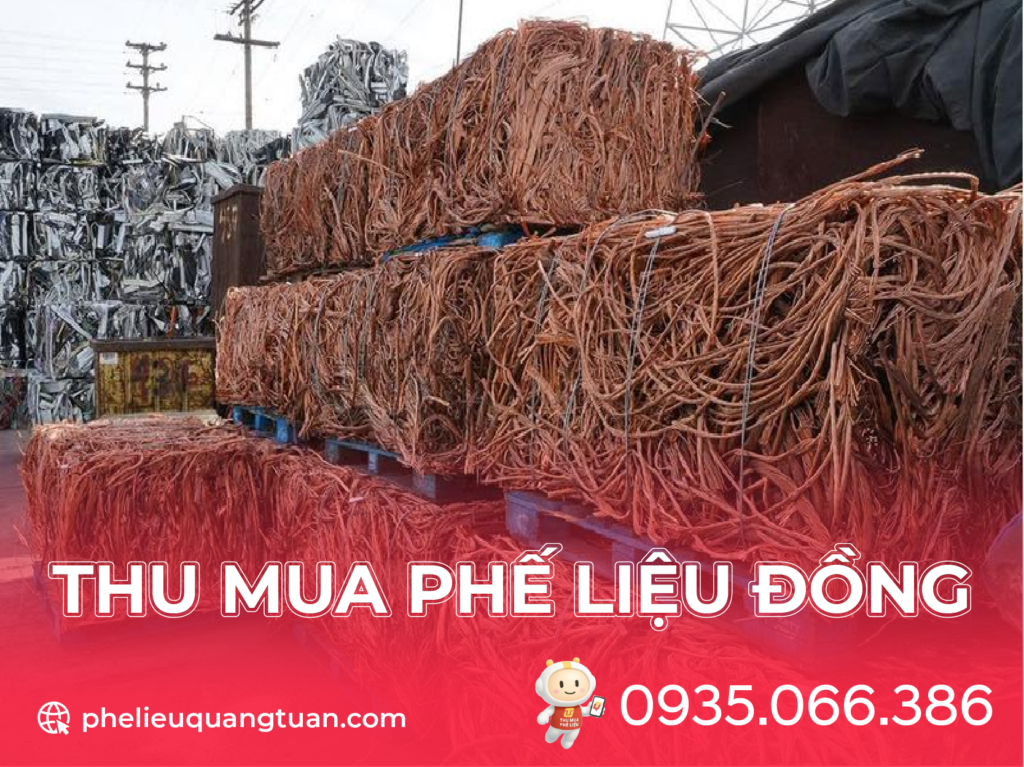 Thu mua phe lieu Dong gia cao