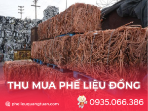 Thu mua phe lieu Dong gia cao